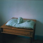 Regular·Fragile, 2002,sculpture Regular·Fragile, 2002,sculpture