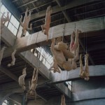 Chinese Offspring . fiberglass . 170 x 70 x 30 cm