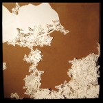 重写历史：掉落的蝴蝶 50cm x 50cm x 4.5cm 2010