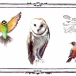 A New History of Diamonds 500 II, 2011