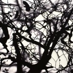 Ed Pien, Redemption, hand-cut digital print on Arches paper, 76 x 101cm, 2011 