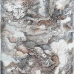 倪有鱼 . 风景之一, 水墨和瓶贴在云龙纸上 90cm x 80cm, 2008-2011 倪有鱼 . 风景之一, 水墨和瓶贴在云龙纸上 90cm x 80cm, 2008-2011