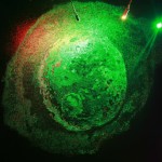 Shi Jing, Iapetus, oil on canvas, 80 X 80 CM, 2012 