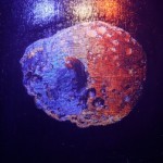 Shi Jing,ASTEROIDS 04,Oil on canvas,22.3 X 27.5 cm,2012