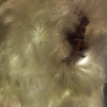 上帝在发笑，不锈钢，光线分布式数据界面， 矽谬， 130 x 90 x 100 cm, 2012