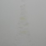 Shi Jing, Qi - Marnyi Stone, oil on canvas, 120 x 90 cm, 2011