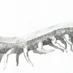 Chen Xi, Run swine run, Chinese ink, 31.5 x 100.3 cm, 2012