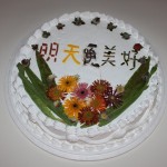 Su Chang, Shelf Life, 2009-2010 Su Chang, Shelf Life, 2009-2010