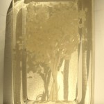 Monika Lin， 打包盒，米饭，树脂，胶带，尺寸可变，2012