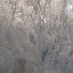 计文于+朱卫兵，没有人的伊甸园，混合媒材，310 x 126 x 87cm，2010