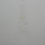 Shi Jing, Qi - Marnyi Stone, oil on canvas, 120 x 90 cm, 2011