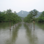 Flower Tree Village, video, 16′42″, 2006