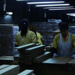 一个妇女主任, 录像, 06,10 mins