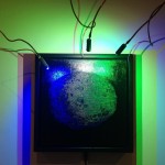 UY55, oil on canvas, 25 X 25 cm, 2012