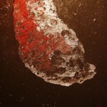 Haley’s, oil on canvas, 16 X 13.5 cm, 2012