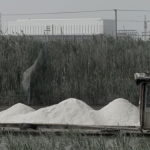 李消非, “盐”，高清录像，有声，彩色，PAL格式，英文字幕，7”24’, 2013