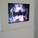 Savinder Bual, “Follis Arboreus,” pencil drawings layered within the folds of a concertina, DV PAL, 2'41'', looped, 2010 Savinder Bual, “Follis Arboreus,” pencil drawings layered within the folds of a concertina, DV PAL, 2'41'', looped, 2010