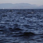 李消非, "一只螃蟹", 高清录像, PAL, 彩色, 有声, 拍摄于挪威, 中英文字幕, 8分24秒,2014
李消非, "一只螃蟹", 高清录像, PAL, 彩色, 有声, 拍摄于挪威, 中英文字幕, 8分24秒,2014