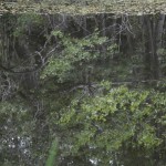 李消非, "流水线 22号", 高清录像, PAL, 彩色, 4分54秒, 2013 李消非, "流水线 22号", 高清录像, PAL, 彩色, 4分54秒, 2013